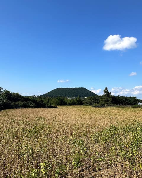 제주올레길14-1코스 사진 8