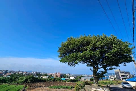 제주올레길15-A코스 사진 10