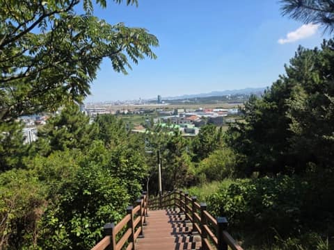 제주올레길17코스 사진 4