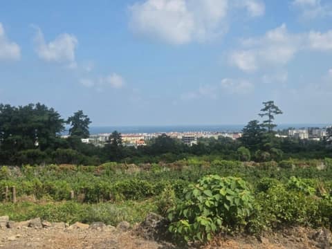 제주올레길17코스 사진 7