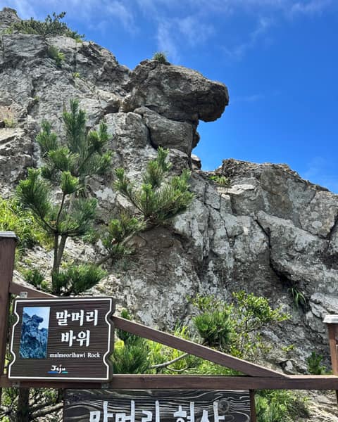 제주올레길18-1코스 사진 9