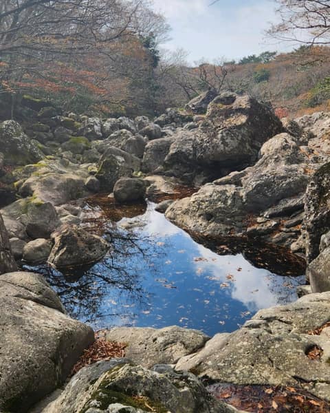 한라산둘레길4구간(동백길) 사진 3