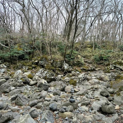 한라산둘레길4구간(동백길) 사진 6