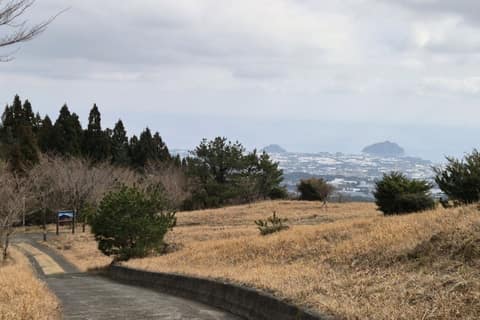 한라산둘레길4구간(동백길) 사진 8