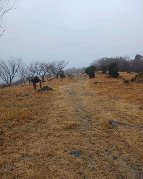 한라산둘레길4구간(동백길) 사진 10