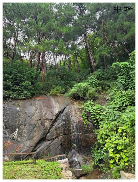 치악산둘레길7코스(싸리치옛길) 사진 4