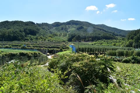 지리산둘레길운봉-인월구간 사진 3