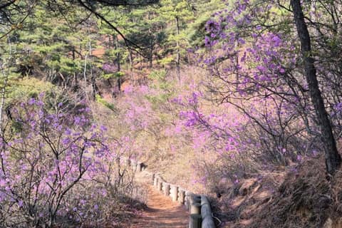 북한산둘레길7구간(옛성길) 사진 4