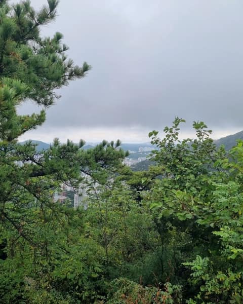 북한산둘레길7구간(옛성길) 사진 7