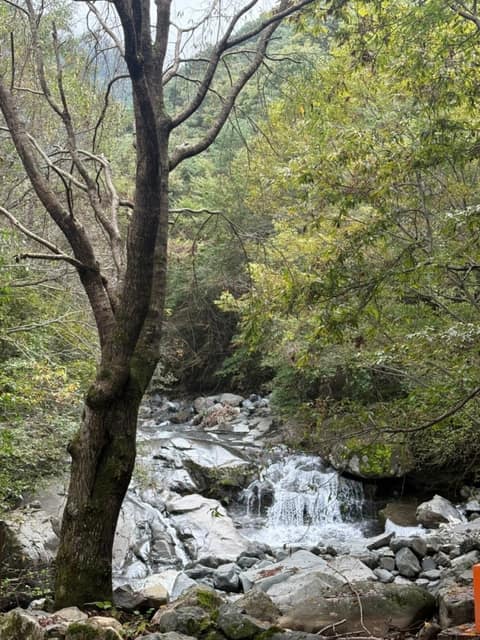 지리산둘레길수철-성심원구간 사진 1