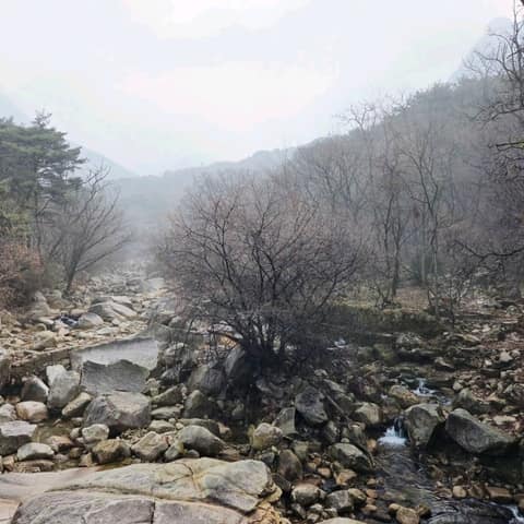북한산둘레길10구간(내시묘역길) 사진 6