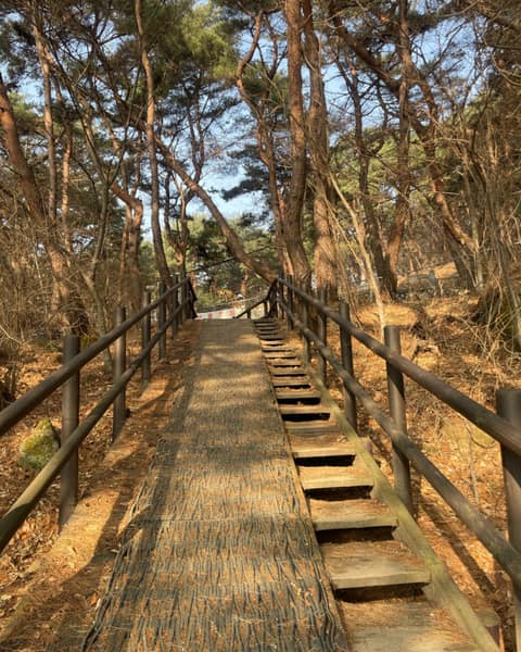 북한산둘레길10구간(내시묘역길) 사진 10