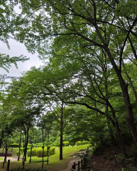 북한산둘레길9구간(마실길) 사진 1