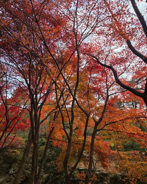 북한산둘레길9구간(마실길) 사진 8
