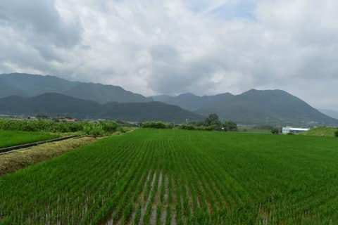 지리산둘레길오미-방광구간 사진 1