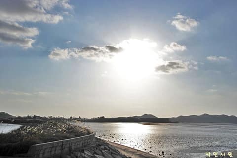 증도모실길1코스(천년의숲길) 사진 2