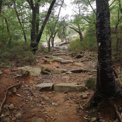 구리둘레길1코스(아차산-망우산길) 사진 2