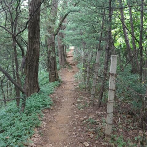 구리둘레길2코스(구릉산-갈매마을길) 사진 1