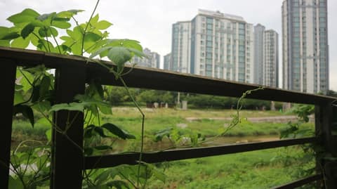 구리둘레길3코스(왕숙천길) 사진 6