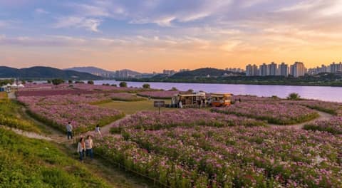 구리둘레길4코스(한강코스모스길) 사진 5