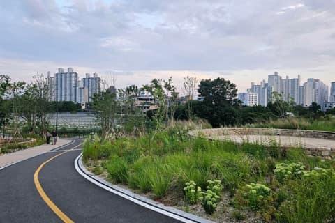암사초록길 사진 4