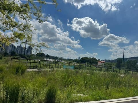 암사초록길 사진 6
