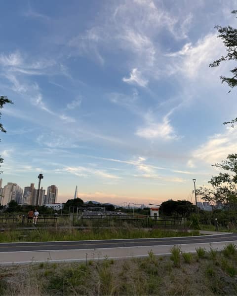 암사초록길 사진 9
