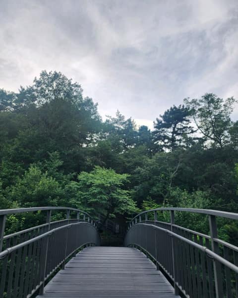 북악하늘길1코스 사진 3