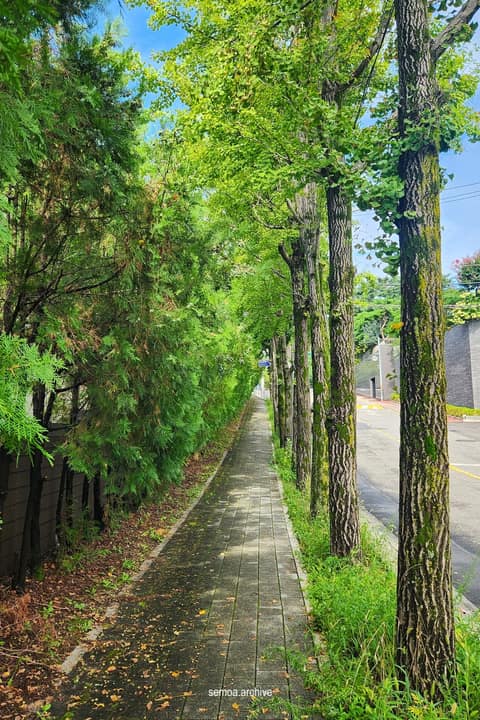 북악하늘길1코스 사진 6