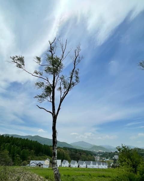 국민의숲길 사진 10