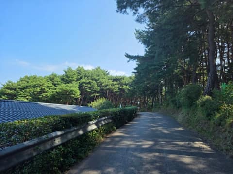 울트라바우길 사진 3