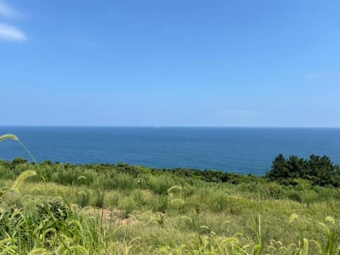 제주올레길19코스 사진 7