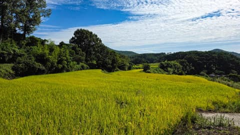 무돌길7길(이서길) 사진 1