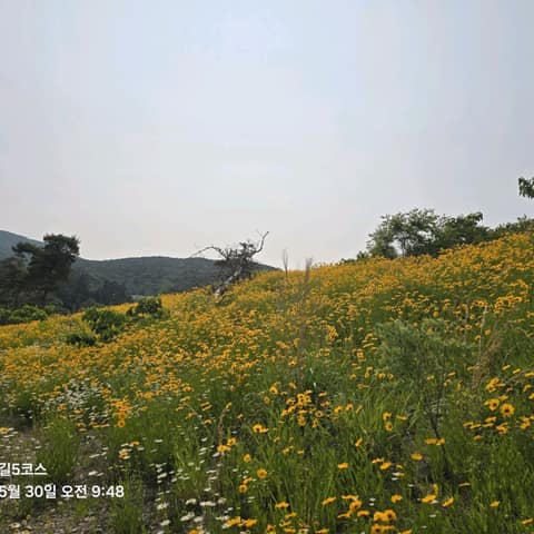 변산마실길5코스(모항갯벌체험길) 사진 7