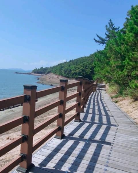 변산마실길5코스(모항갯벌체험길) 사진 9