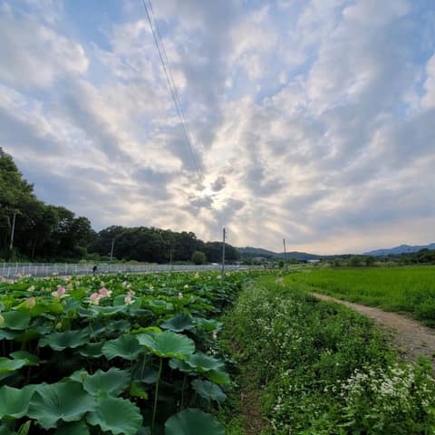 의왕누리길 사진 2