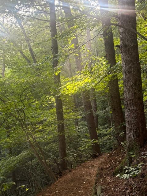 지리산둘레길인월-금계구간 사진 4