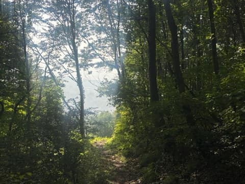 지리산둘레길인월-금계구간 사진 5