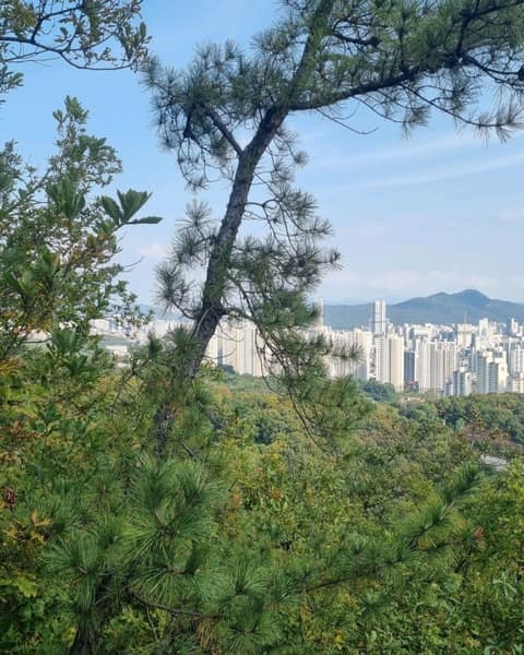 북한산둘레길16구간(보루길) 사진 4
