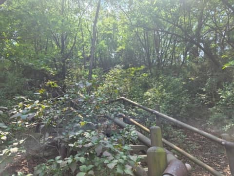 북한산둘레길16구간(보루길) 사진 9