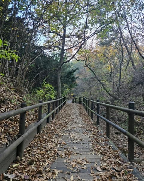 북한산둘레길17구간(다락원길) 사진 1