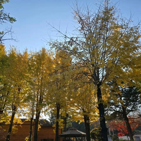 북한산둘레길17구간(다락원길) 사진 5
