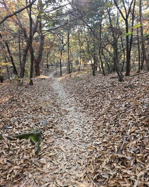 북한산둘레길17구간(다락원길) 사진 6