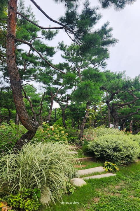 서울한양도성길4코스(남산구간) 사진 4