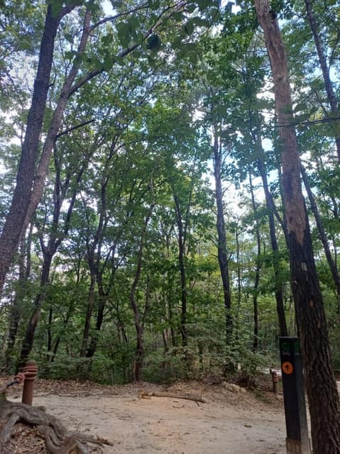 북한산둘레길19구간(방학동길) 사진 5