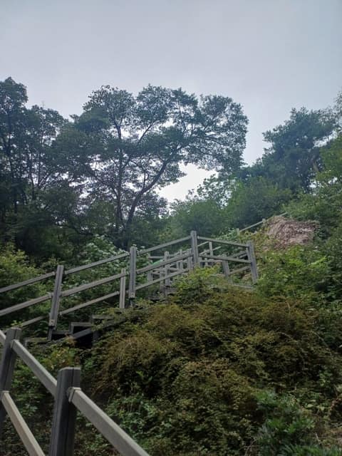 서울한양도성길1코스(백악구간) 사진 4