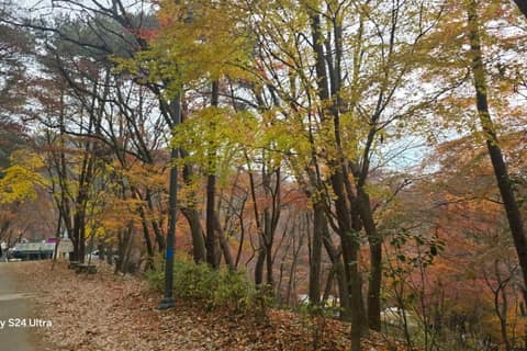 북한산둘레길21구간(우이령길) 사진 3