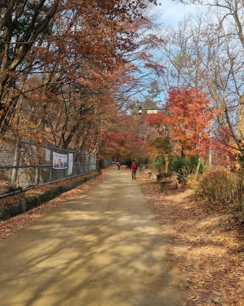 북한산둘레길21구간(우이령길) 사진 5
