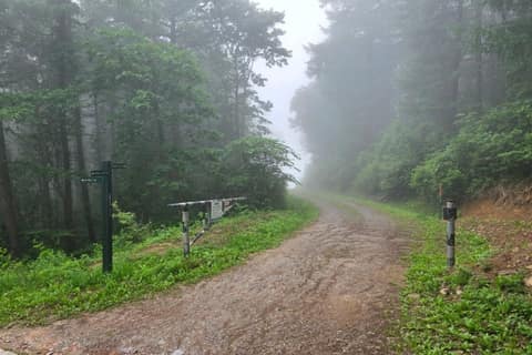 운탄고도1330_5길 사진 5