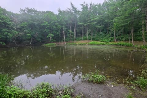 운탄고도1330_4길 사진 2